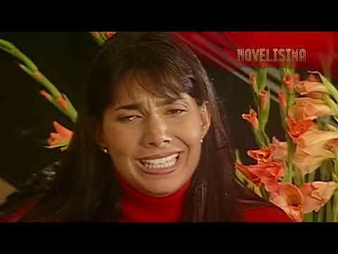 NOVELISIMA   EL PAIS DE LAS MUJERES, Un mundo lleno de corazones rotos