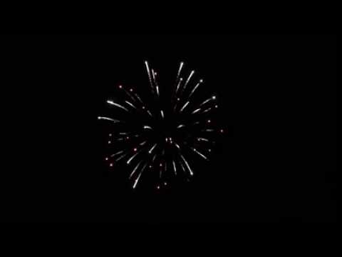 N007 2 5'' Glitter Silver to Variegated Chrysanthemum