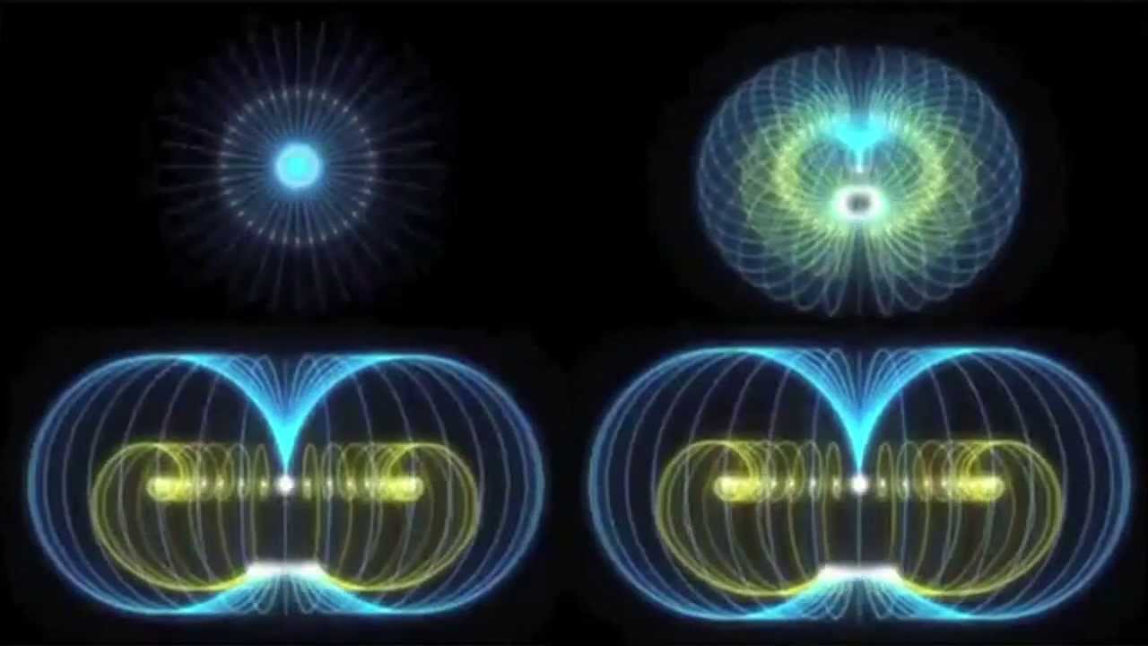 Randy's Donuts The Movie - Support Video # 2