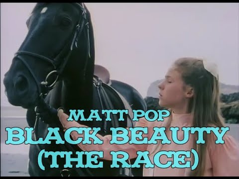 Matt Pop  -  Black Beauty (The Race)