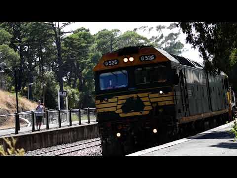 Freight Train (5MA5)