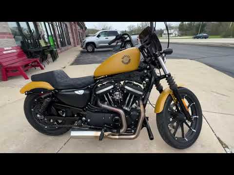 2019 Harley-Davidson Iron 883™ in Muskego, Wisconsin - Video 1