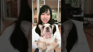 Download lagu 🐶 #โรงอาหาร #โรงอาหารchallenge #ขมิ้นกิ่งศักดิ์ #kaminkingsak mp3