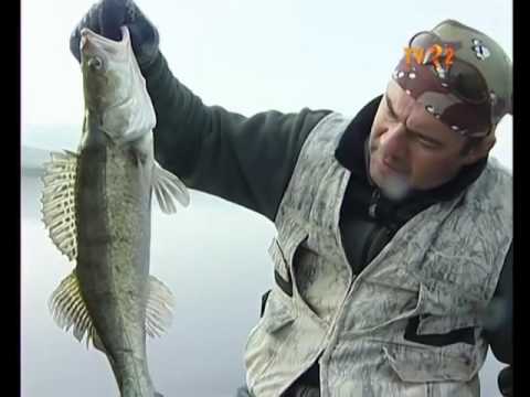 Natură și aventură - La pescuit de șalău la Zau de Câmpie