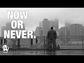 Animal Motivation | Now or Never