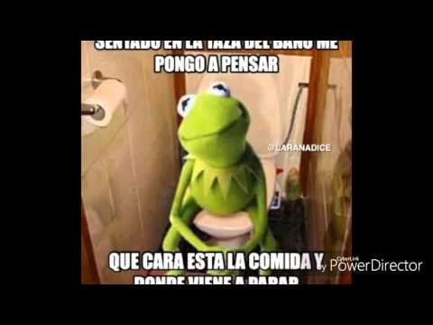 Video oficial de vive y baila