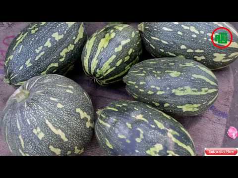 রাবার ড্যামে কৃষকের মুখে হাসি