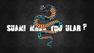 Download lagu SERAM, TERNYATA SUDAH 15 TAHUN MBAK YOU BERSUAMIKAN ULAR! mp3 Download lagu SERAM, TERNYATA SUDAH 15 TAHUN MBAK YOU BERSUAMIKAN ULAR! mp3