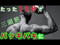 たった12分あれば完全に追い込める!三頭筋トレーニング公開!