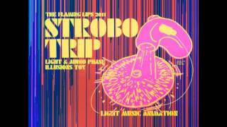 The Flaming Lips - (Six Hour Song) - I Found a Star on the Ground (HQ)