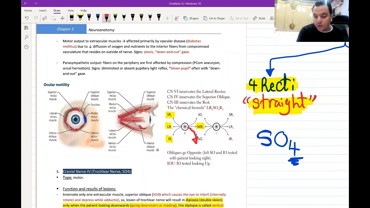 5. Basics of Neuroanatomy for USMLE - (Free trial Link in Description Below)