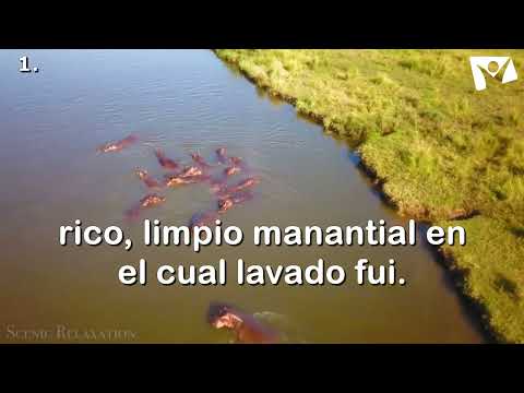 Himno 307 -Roca de la eternidad