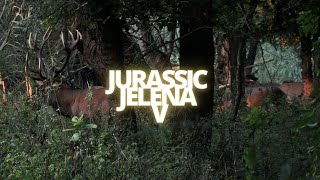 Die Hirschbrunft des Jahres 🌿JURASSIC JELENA V - Die neue Staffel!
