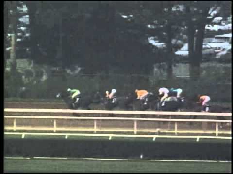 Holy Bull - 1994 Woodward (G1)