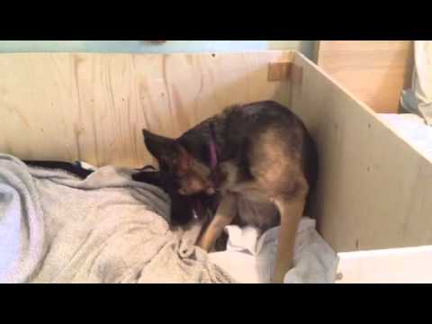 Värkar o extrembäddning