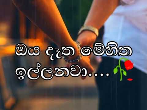 𝐎𝐲𝐚 𝐝𝐚𝐭𝐡𝐚 𝐦𝐞 𝐡𝐢𝐭𝐡𝐚 𝐢𝐥𝐥𝐚𝐧𝐚𝐰𝐚𝐚...😌🎶🖤 (𝐤𝐚𝐝𝐮𝐥𝐮 𝐰𝐚𝐭𝐮𝐧𝐮 𝐧𝐞𝐭𝐡 𝐩𝐢𝐭𝐮 𝐚𝐭𝐡𝐚𝐫𝐞) 𝐀𝐋𝐎𝐍𝐄 𝐋𝐈𝐅𝐄🙂 ...