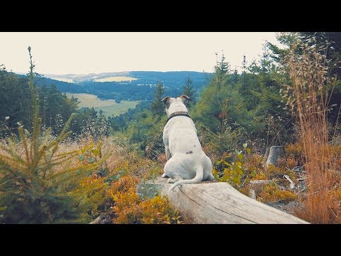 Aš... až budete chtít poznávat