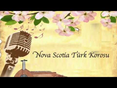 01 02 Enginde Yavas Yavas