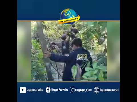 Ini Kondisi Kebun Tempat Warga Diserang Beruang