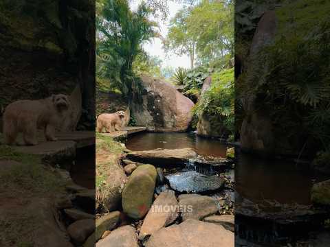 🍁 Entre, respire fundo, sinta a energia da Mantiqueira. Aqui, a natureza é protagonista 🌿
