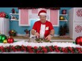 Cooking For Your Pets – 2014 Holiday Special – Mint & Molasses Cookies + Behind The Scenes