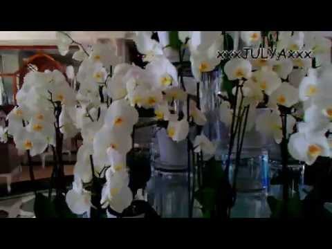 Rubi Platinum Spa Resort Suites 5* (Turkey, Alanya) - Отель Руби Платинум 5* (Турция, Аланья)