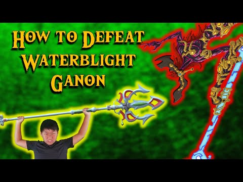 BOTW - How to Defeat Waterblight Ganon in the Illusory Realm in Master Mode