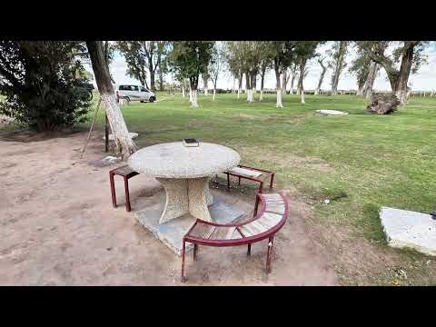 Granja de Primera Fase Remar Rio IV