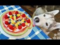 Watermelon Pizza For Dogs DIY Dog Treats