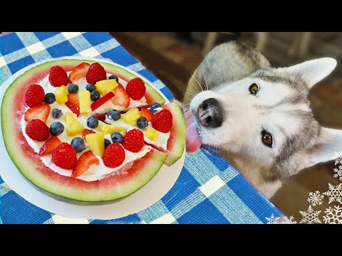 pizza dog voucher code