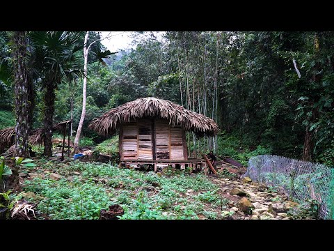 Finishing the ultimate shelter | LIVING OFF THE GRID | Episode 97