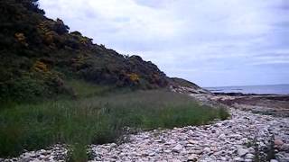 DSCF4797