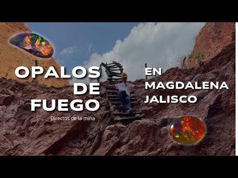 Encontré ópalos de fuego directos de la mina en Magdalena, Jalisco.