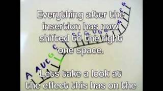 Frameshift Genetic Mutations