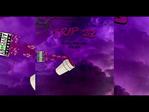 Newstile - Trip 23 ft Anubis Zombie (Rmx)