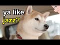 Do You Like Some Japanese Jazz Fusion