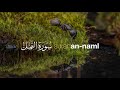 Surah An Naml سورة النمل Peaceful Quran Recitation By Bilal Darbali English Subtitles