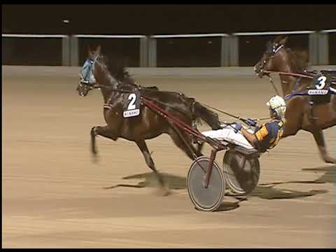 Trotto 18/06/2020 - 9ª corsa