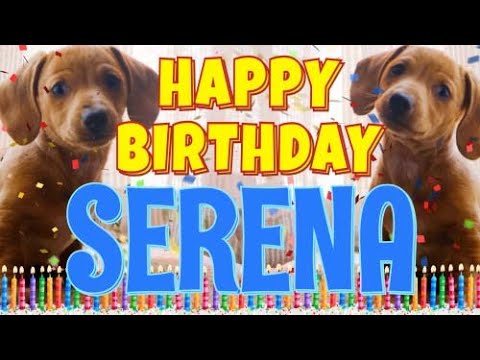 Happy Birthday Serena! ( Funny Talking Dogs ) What Is Free On My Birthday