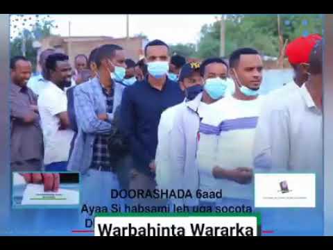 ishii buktaay ku Bikaacso Xulka Suugaanta. Xikmada Ku duugan iyo Kaydka Warbaahinta.