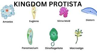 SSC BIOLOGY CHAPTER 1 LIVING WORLD