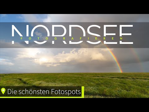 Nordsee Fotografieren. Die schönsten Fotospots im Detail. Der Salzwiesenpfad.