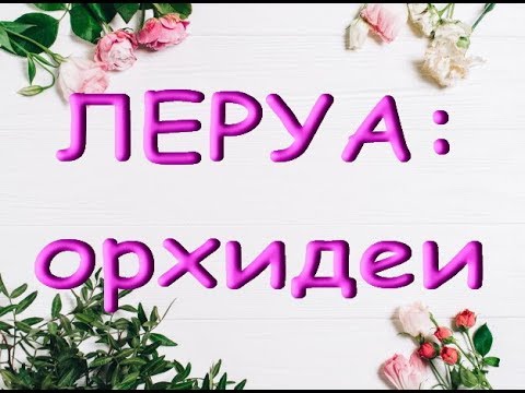 ЛЕРУА:завоз отличных ОРХИДЕЙ,09.11.19,Самара,ТЦ"Космопорт".