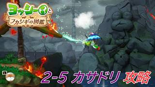【ヨッシーとフカシギの図鑑】2-5 カサドリの生息地(何か起きてる？) 調査コンプリート【攻略/switch2】
