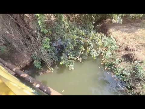Coisas da natureza lagoa cheia, barro alto Goiás 