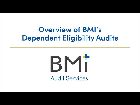 BMI Audit Services video/presentation/materials