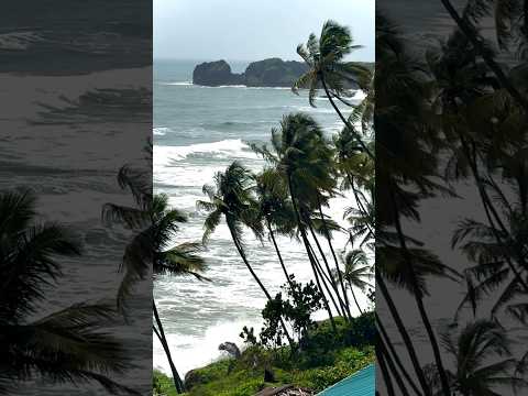 Goa beaches 🌊