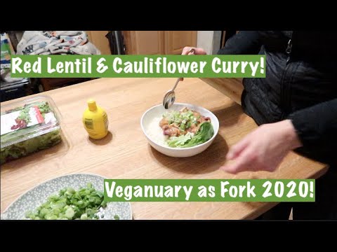 Red Lentil & Cauliflower Curry - Veganuary as Fork 2020!