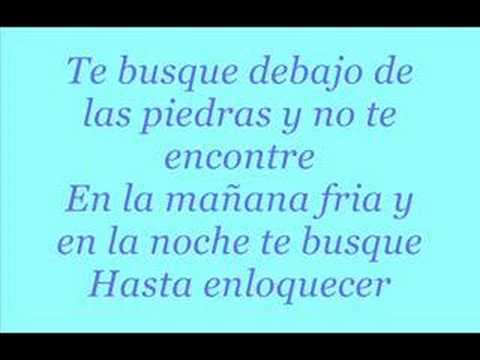 Nelly Furtado ft Juanes - Te Busque Spanish Version (Lyric)