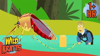 Mosquitoes vs. Kratt Bros! 🦟 Florida Adventure | Wild Kratts | Scholastic Kids